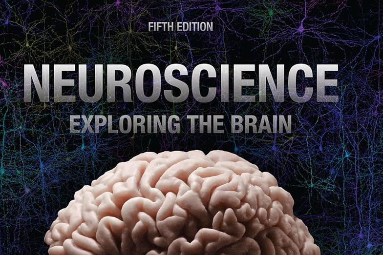 Jak profesor MIT zasvětil neurovědu statisícům studentů